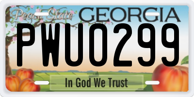 GA license plate PWU0299