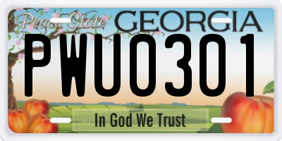 GA license plate PWU0301