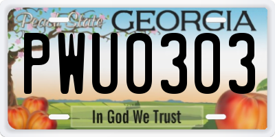 GA license plate PWU0303
