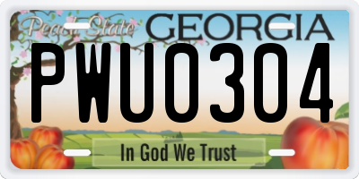 GA license plate PWU0304