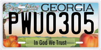 GA license plate PWU0305