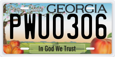 GA license plate PWU0306