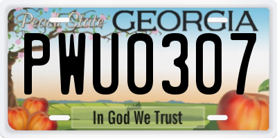 GA license plate PWU0307