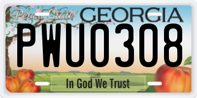 GA license plate PWU0308