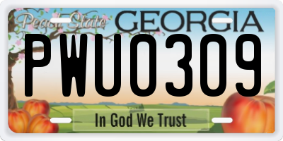 GA license plate PWU0309