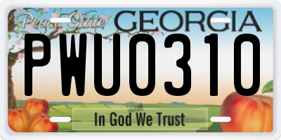 GA license plate PWU0310