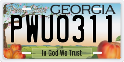 GA license plate PWU0311