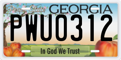 GA license plate PWU0312