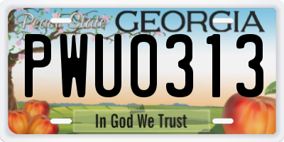 GA license plate PWU0313