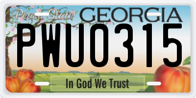 GA license plate PWU0315