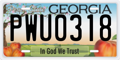 GA license plate PWU0318