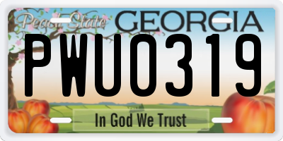 GA license plate PWU0319