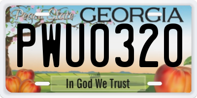 GA license plate PWU0320