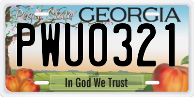 GA license plate PWU0321