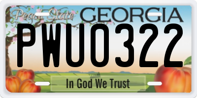 GA license plate PWU0322