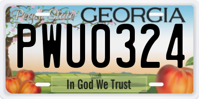 GA license plate PWU0324