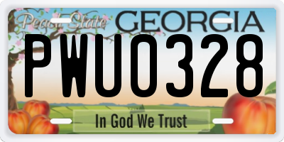 GA license plate PWU0328