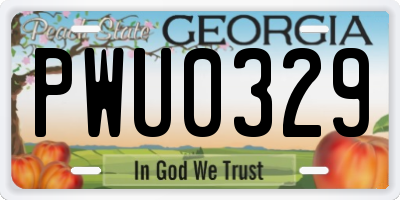 GA license plate PWU0329