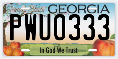 GA license plate PWU0333