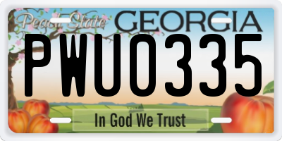 GA license plate PWU0335