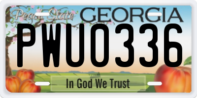 GA license plate PWU0336