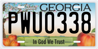 GA license plate PWU0338