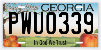 GA license plate PWU0339