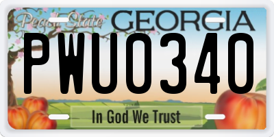 GA license plate PWU0340