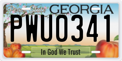 GA license plate PWU0341
