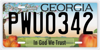 GA license plate PWU0342