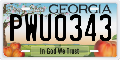 GA license plate PWU0343