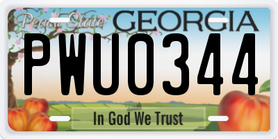 GA license plate PWU0344