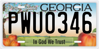 GA license plate PWU0346