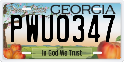 GA license plate PWU0347
