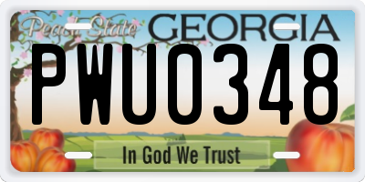 GA license plate PWU0348