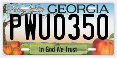 GA license plate PWU0350