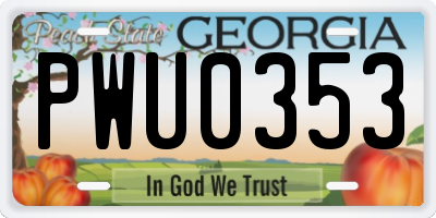 GA license plate PWU0353