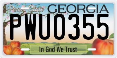 GA license plate PWU0355