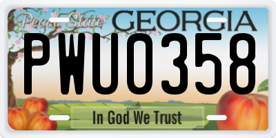 GA license plate PWU0358
