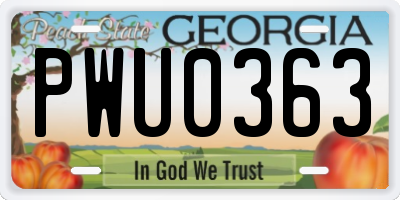 GA license plate PWU0363