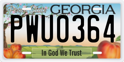GA license plate PWU0364