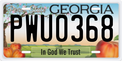 GA license plate PWU0368