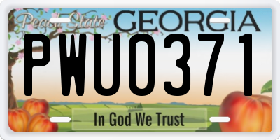 GA license plate PWU0371
