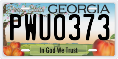 GA license plate PWU0373