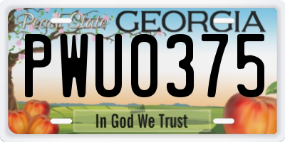 GA license plate PWU0375
