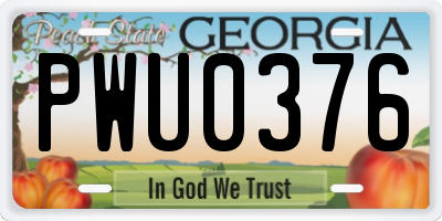 GA license plate PWU0376