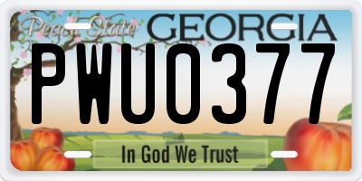 GA license plate PWU0377