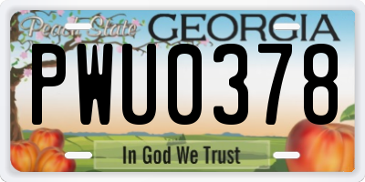GA license plate PWU0378
