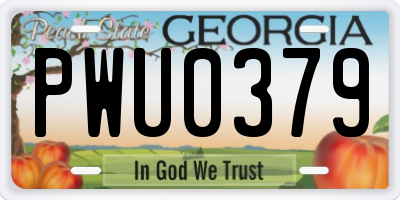 GA license plate PWU0379
