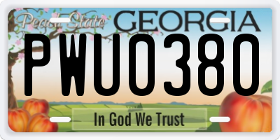 GA license plate PWU0380